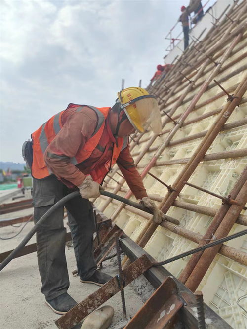 天眉樂高速青神虎渡溪岷江特大橋 加速建設，助力區域發展新動脈