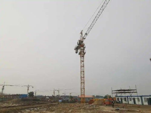 查干湖生態(tài)小鎮(zhèn)兩館建設(shè)工程正式開工，開啟文旅融合新篇章